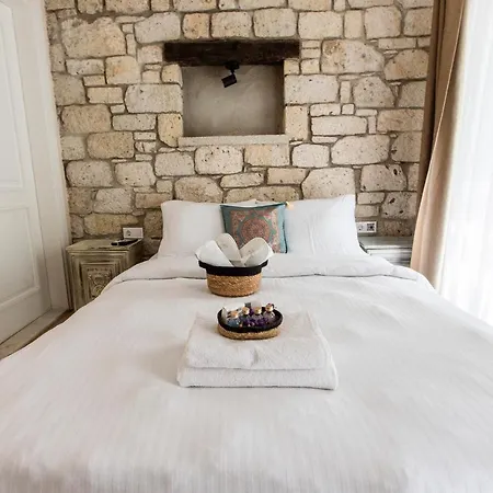 Hotel Mastik Köyiçi