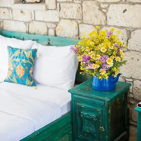 Hotel Mastik Köyiçi *