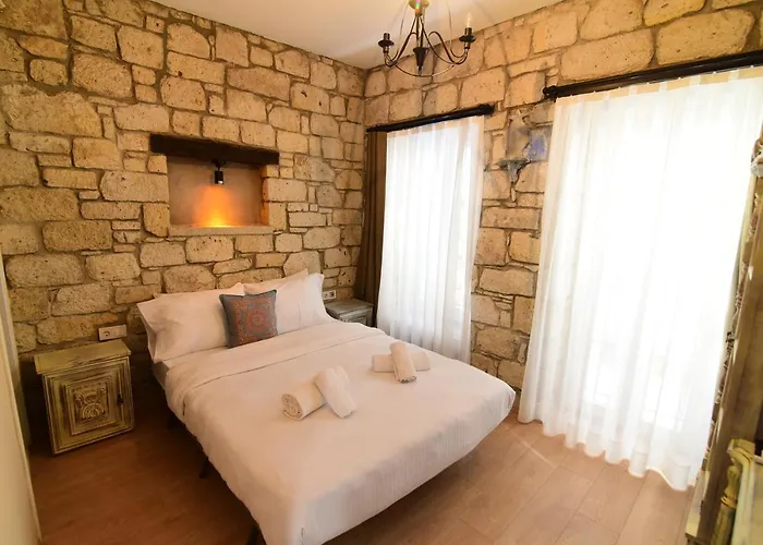 酒店 Mastik Koyici *