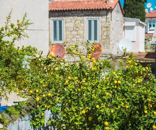 Mastik Koyici 酒店 *