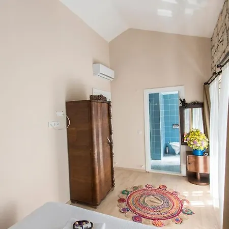 Hotel Mastik Koyici