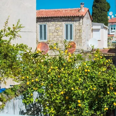 Mastik Koyici Hotel *