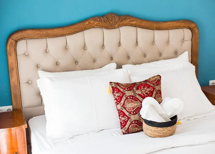 Mastik Koyici Hotel *